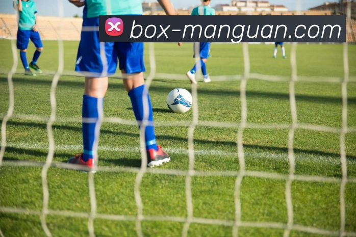 App Interface Preview