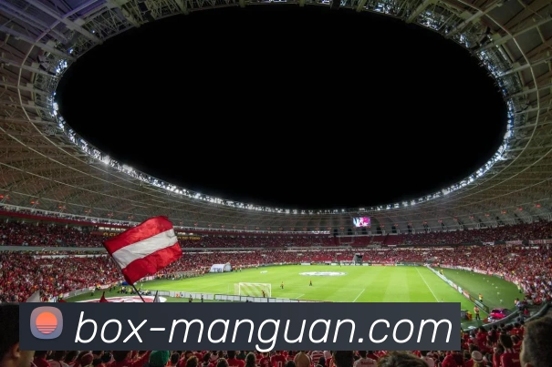 满冠体育APP 封面图